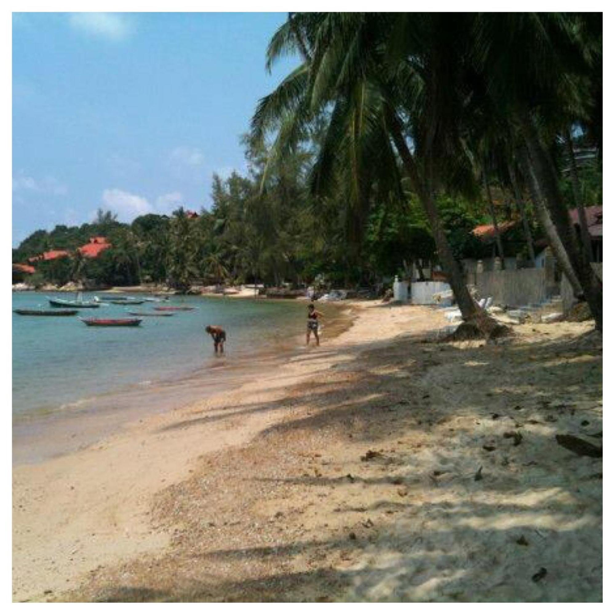 Jungle Hut Bungalows & Hotel Haad Chao Phao Exterior foto
