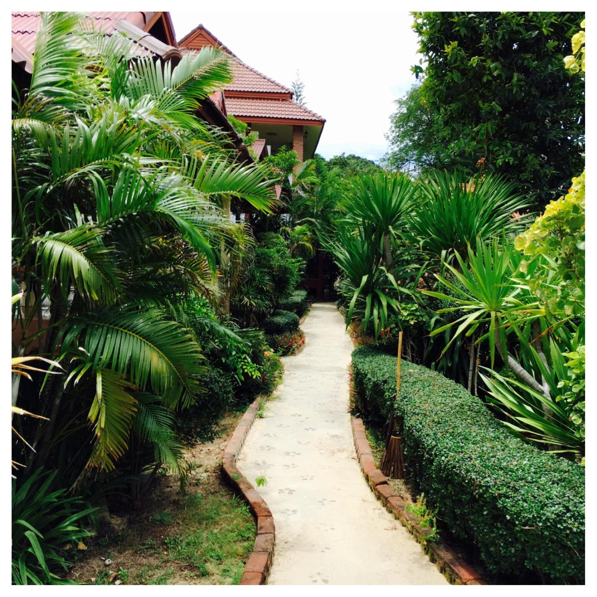 Jungle Hut Bungalows & Hotel Haad Chao Phao Exterior foto
