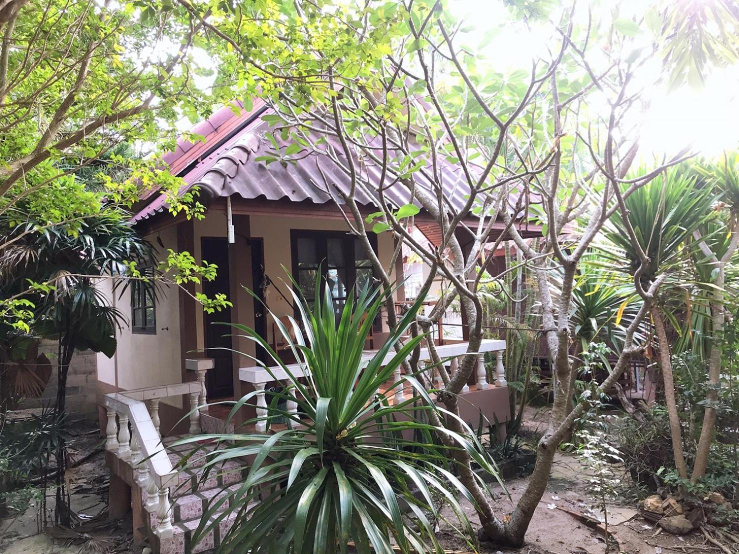 Jungle Hut Bungalows & Hotel Haad Chao Phao Habitación foto